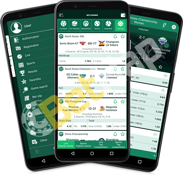 Guide Complète Pour Vérifiez Coupon Betwinner Guide Complète Pour Vérifiez Coupon Betwinner